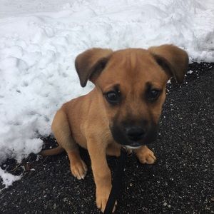 Meet your Posher, Pat